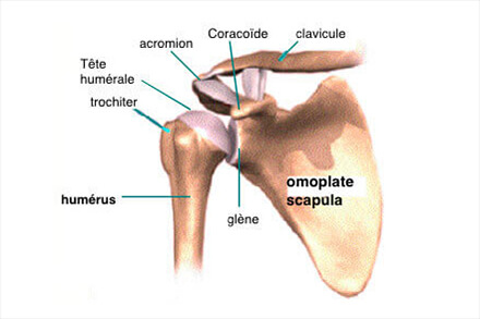 Entorse Acromio-Claviculaire : diagnostic