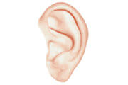 Eczéma du conduit auditif externe (oreille)