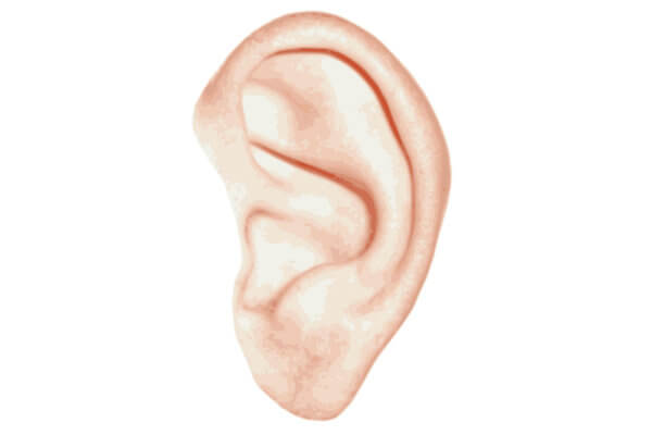 Eczéma du conduit auditif externe (oreille)