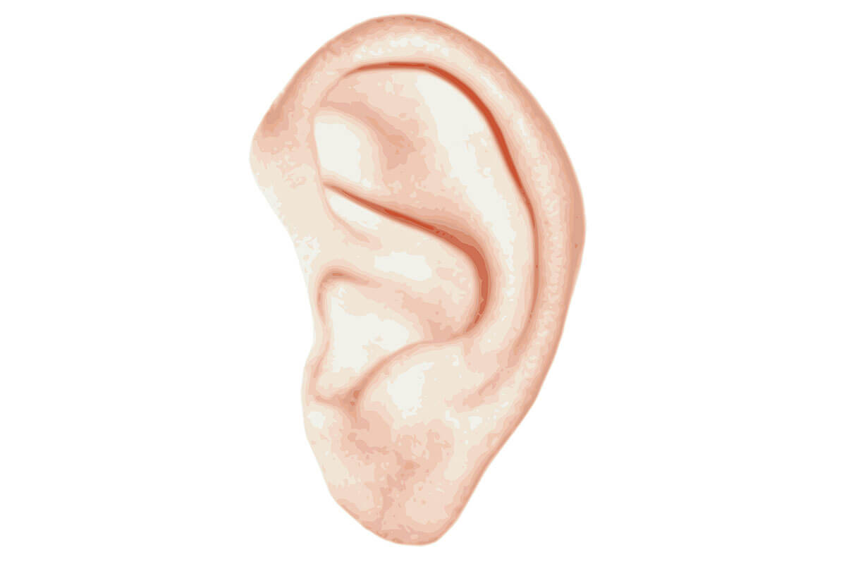 Eczema De L Oreille Conduit Auditif Externe Frequent Chez Le Nageur Eczema De L Oreille Conduit Auditif Externe Frequent Chez Le Nageur