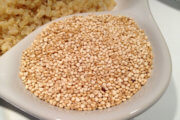 Quinoa : riche en acides aminés