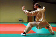 Tai-Chi (Taiji) : Willy Mangin